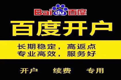 某某企业SEM营销案例：从SEM到全渠道营销的转型之路